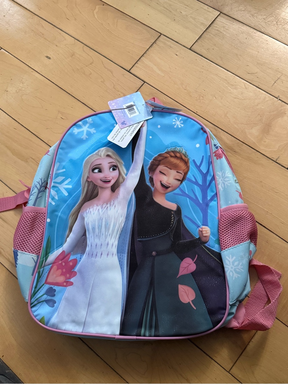 Disney Frozen Elsa & Anna Toddler Backpack - Light Blue & Pink